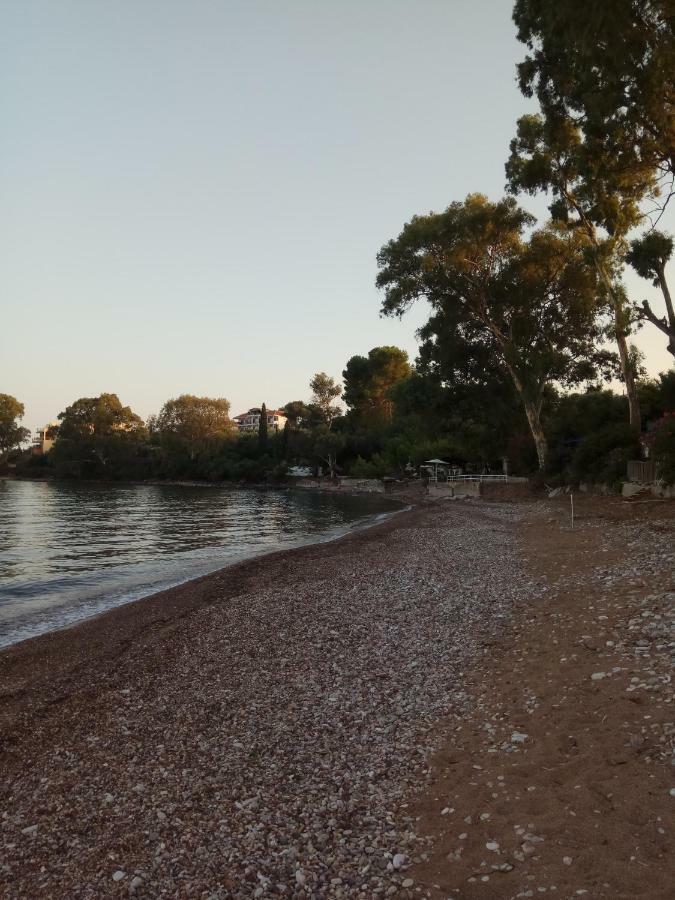 Apartament Petalidi Fragkos Zewnętrze zdjęcie